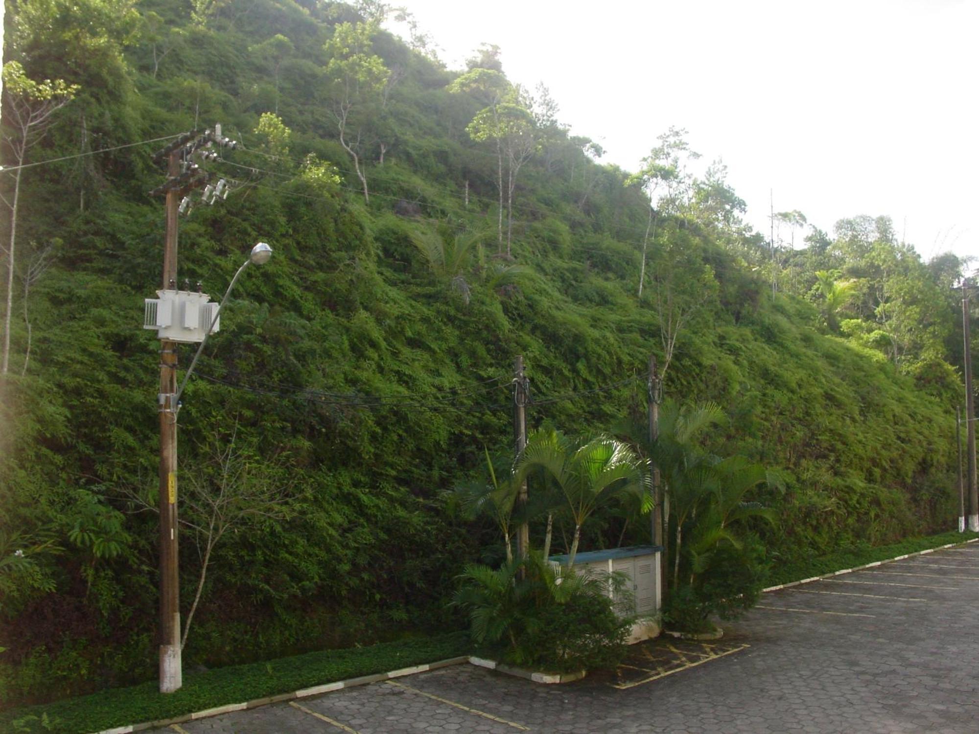 Apto Wembley Tenis Ubatuba